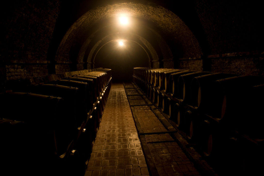 Wine cellar