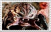 Unmasked Beserker Predator Stamp