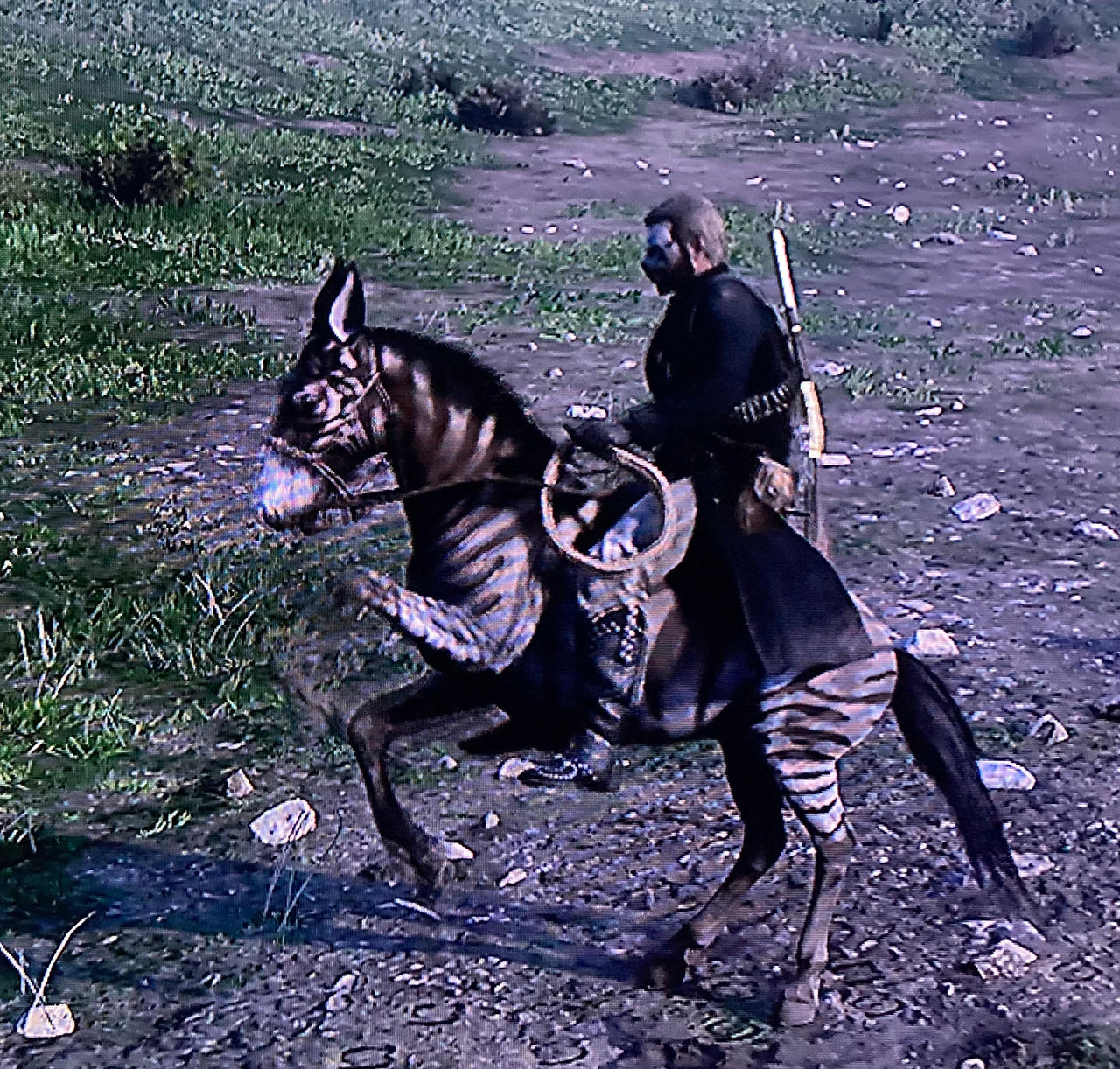 Red Dead Redemption 2 - The Zebra by siil3ntj on DeviantArt