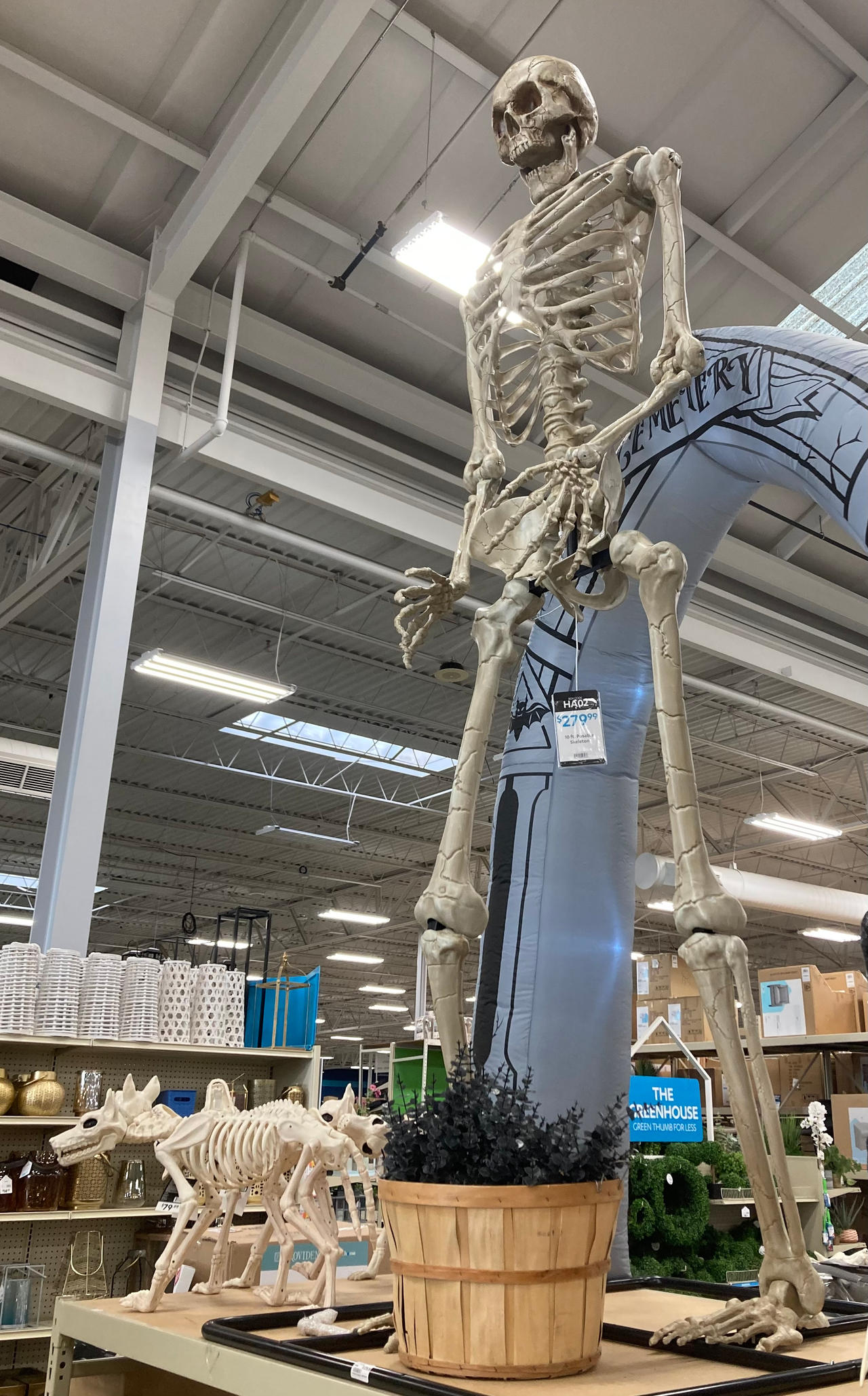 Extra Large Skeleton At Home - Giant Skeleton 2 by siil3ntj on DeviantArt