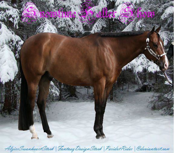 WOS Snowtime Halter Show