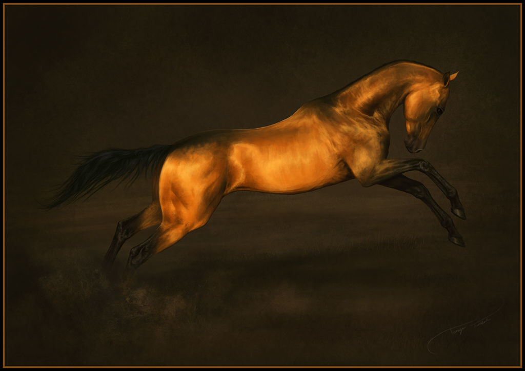 Akhal Teke