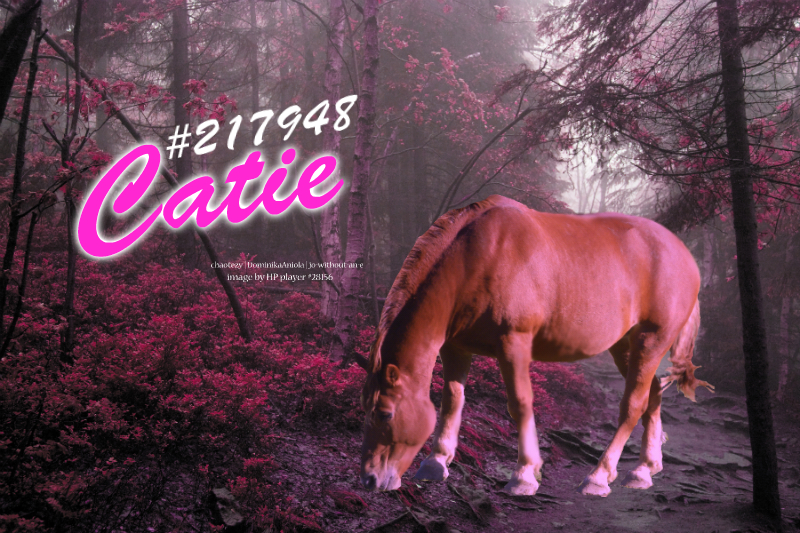 Catie #217948 (HP)