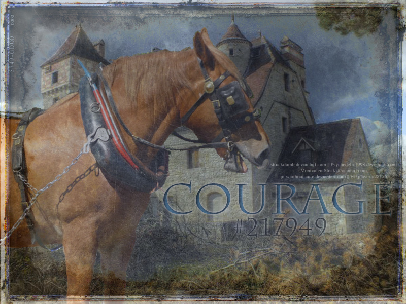 Courage #217949 (HP)