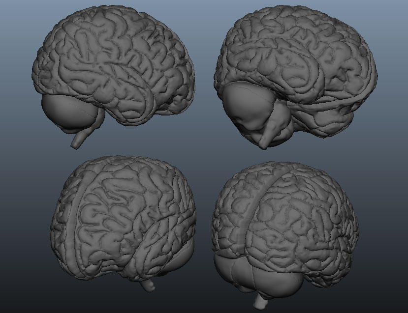 Brains by JustinSabean on DeviantArt