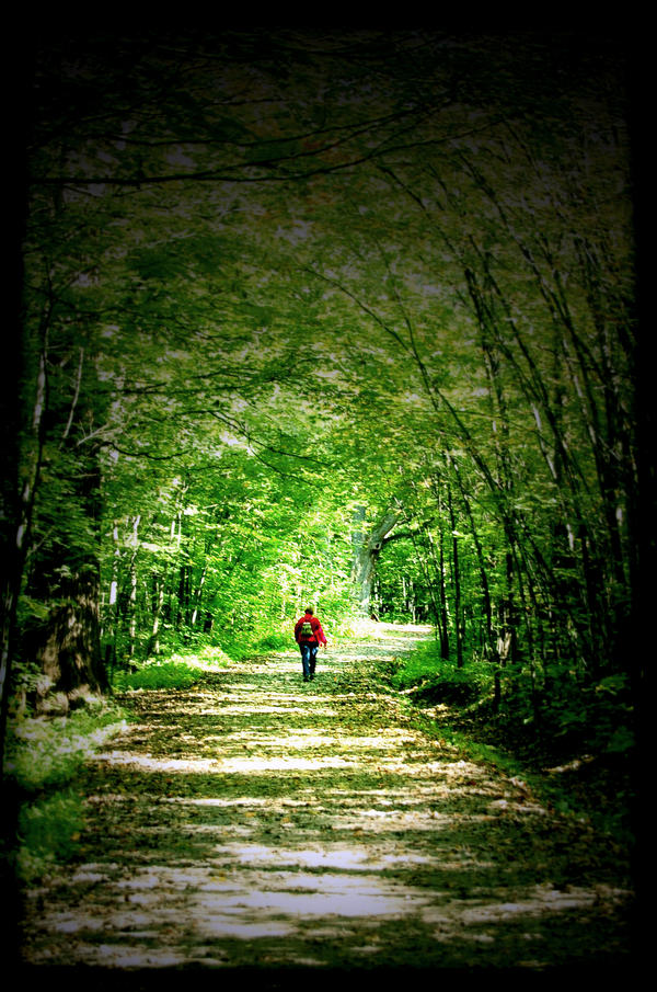 Getting Through October A walk.. through october by CrazyMadness on DeviantArt