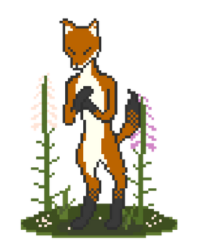 foxglove