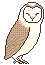 owl familiar