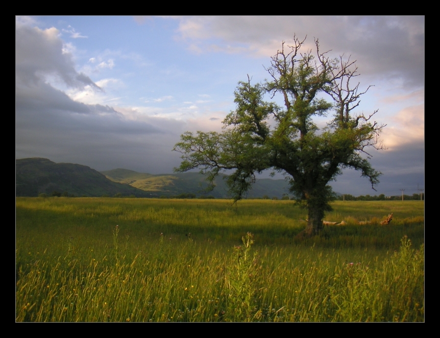 Layered Landscape by Mennonot on DeviantArt