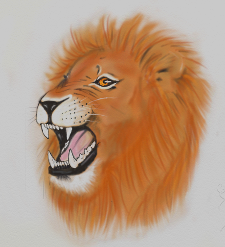 lion color