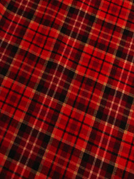 Plaid Red