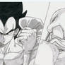 Vegeta fight