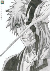 Ichigo Vasto Lorde