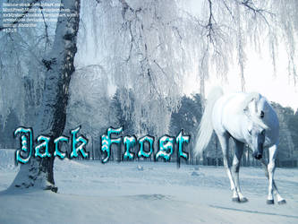 Jack Frost - HP Order