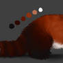 Red Panda