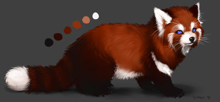 Red Panda by kitfaced on DeviantArt