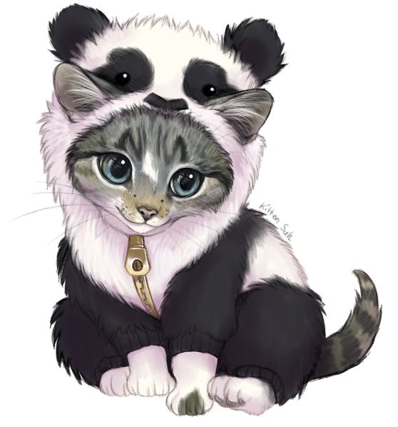 cat in panda's coat