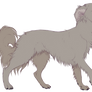 Borzoi P2U lines