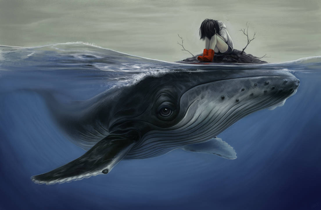 Coursewhale