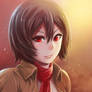 Mikasa fanart