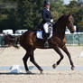 National Dressage and Jumping_51