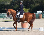 National Dressage and Jumping_68