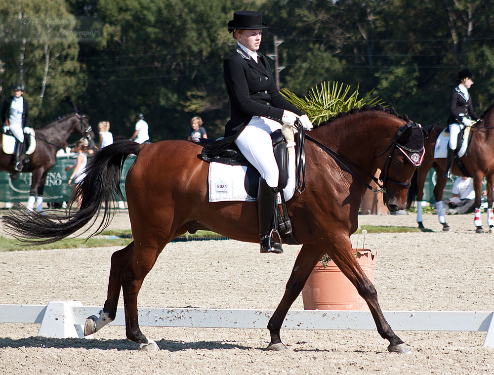 National Dressage and Jumping_88