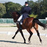 National Dressage and Jumping_108