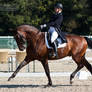 National Dressage and Jumping_124