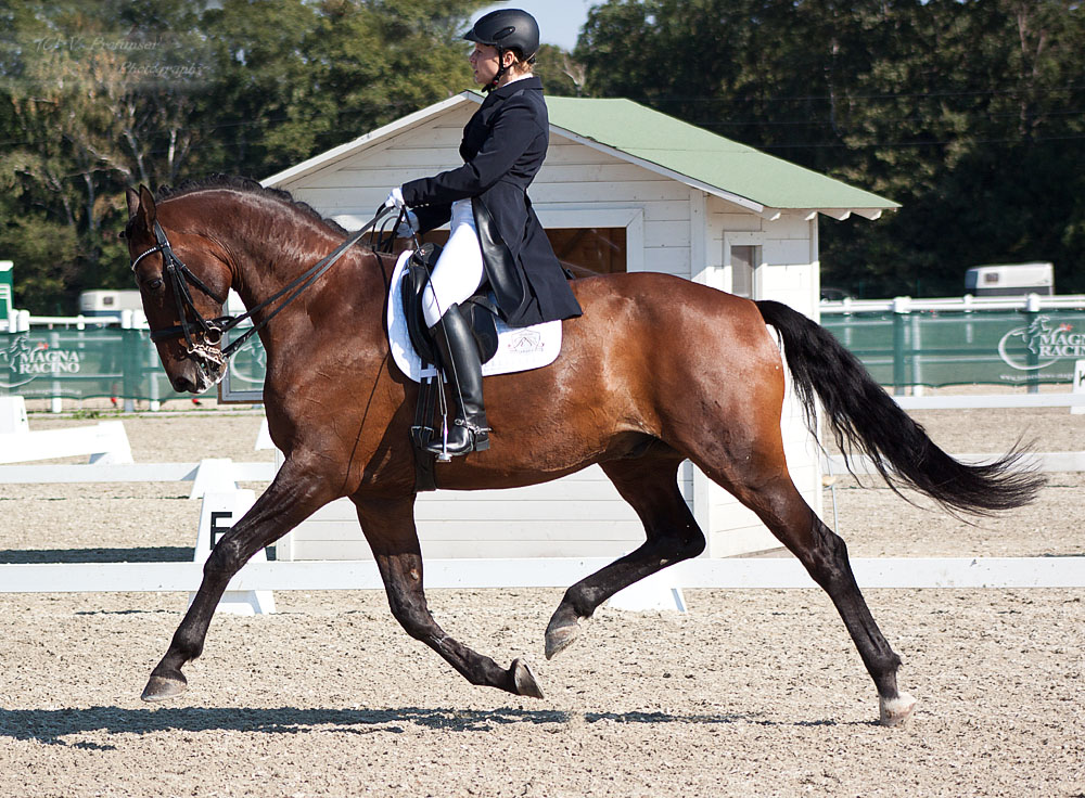 National Dressage and Jumping_127