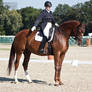National Dressage and Jumping_161