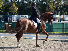 National Dressage and Jumping_163