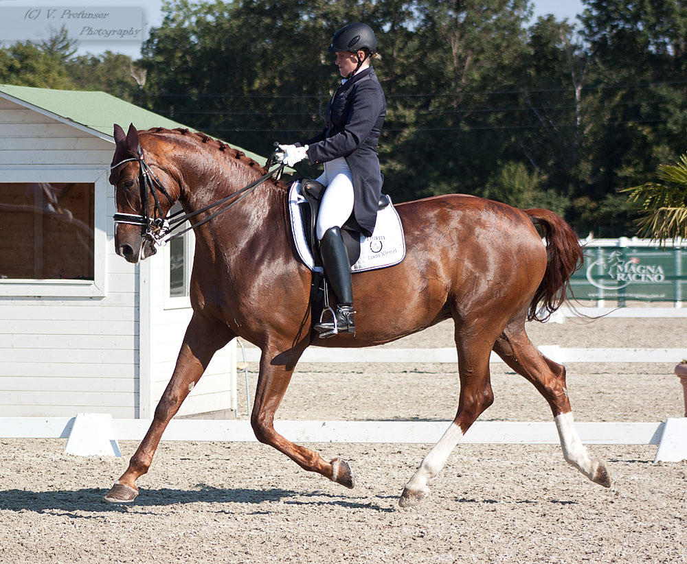 National Dressage and Jumping_167