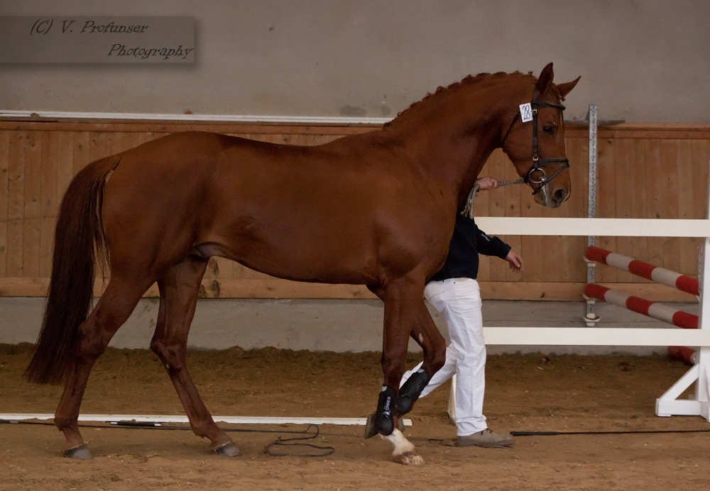 Freejumping Championship 2014_294