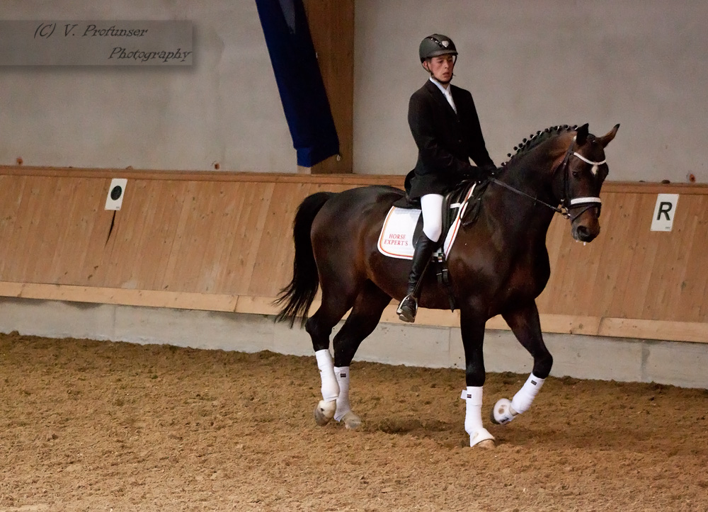 Stallion Presenation_50