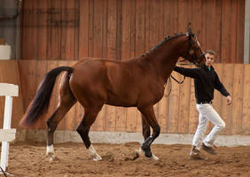 Freejumping Geyer 2014_42