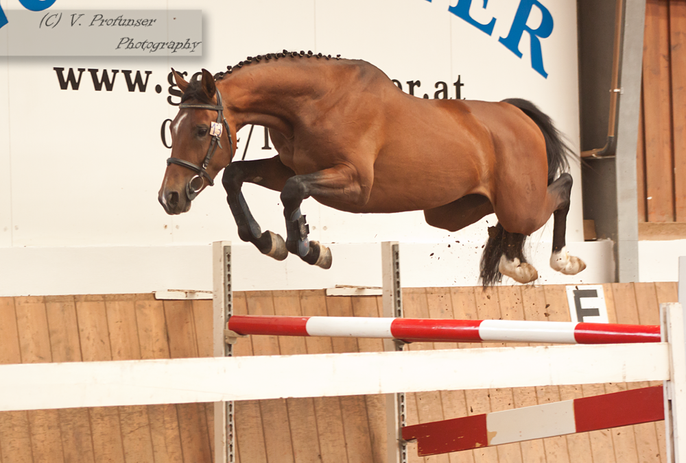 Freejumping Geyer 2014_91