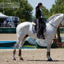 WorkingEquitationWM 2014_78