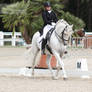 Dressage Cup_124