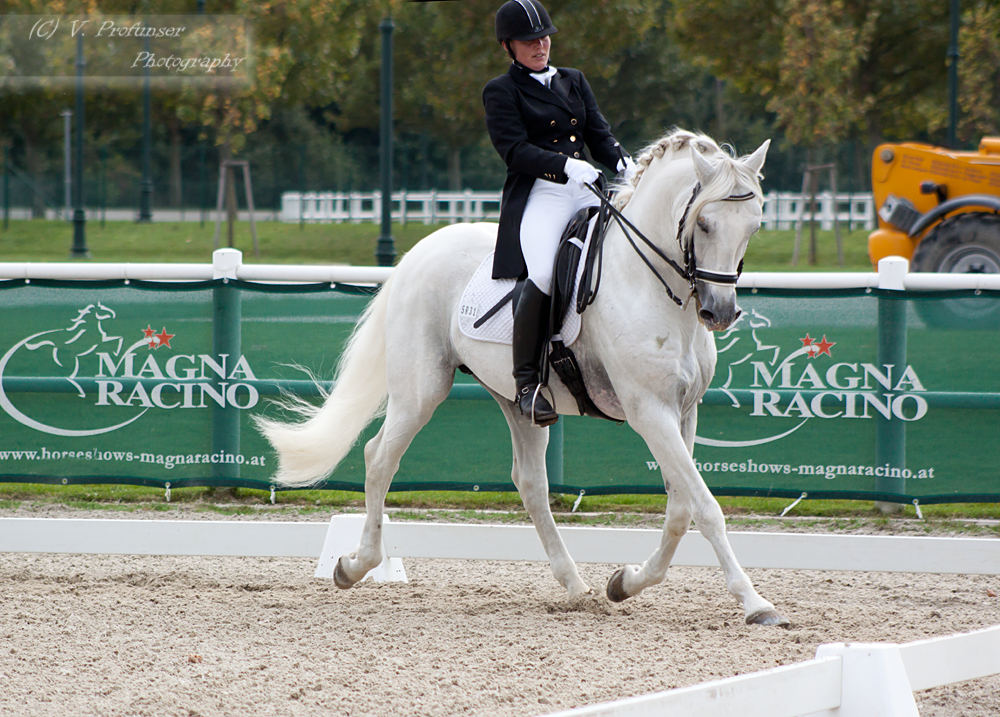 Dressage Cup_145