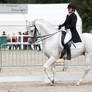 Dressage Cup_147