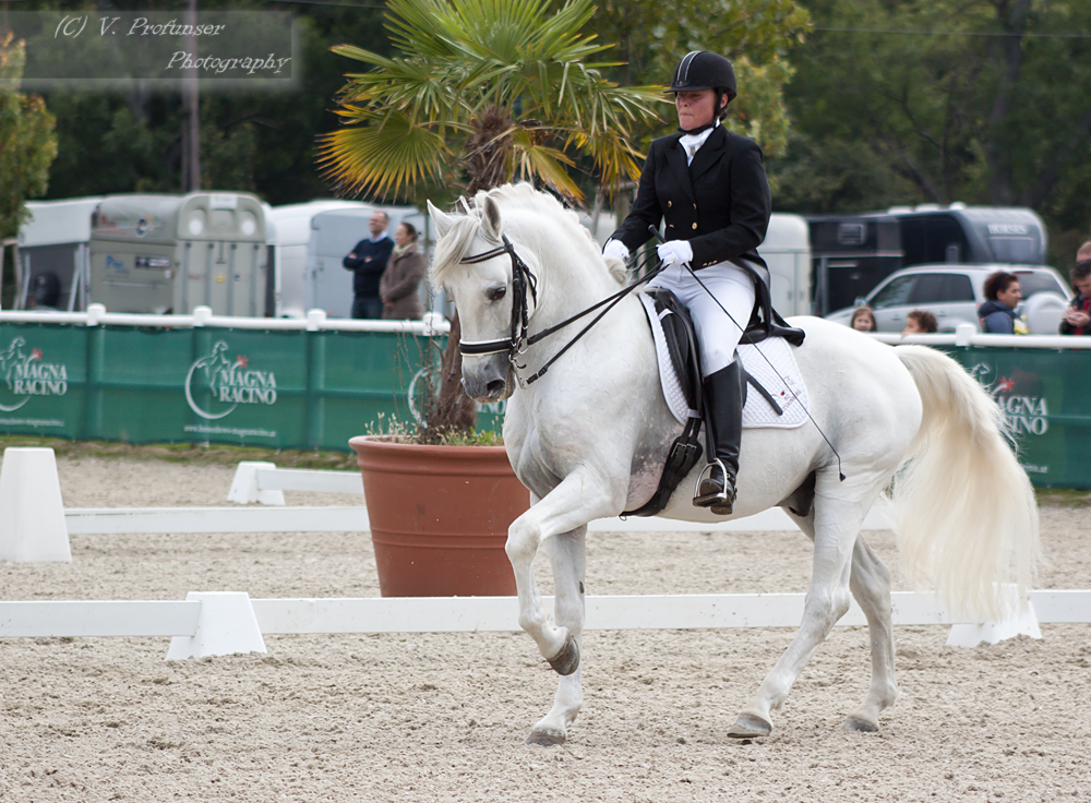 Dressage Cup_157