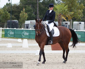 Dressage Cup_188