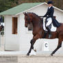 Dressage Cup_189