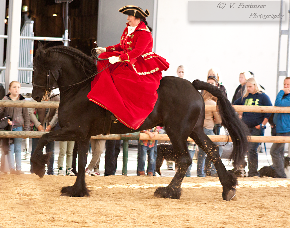 Sidesaddle Friesian_10