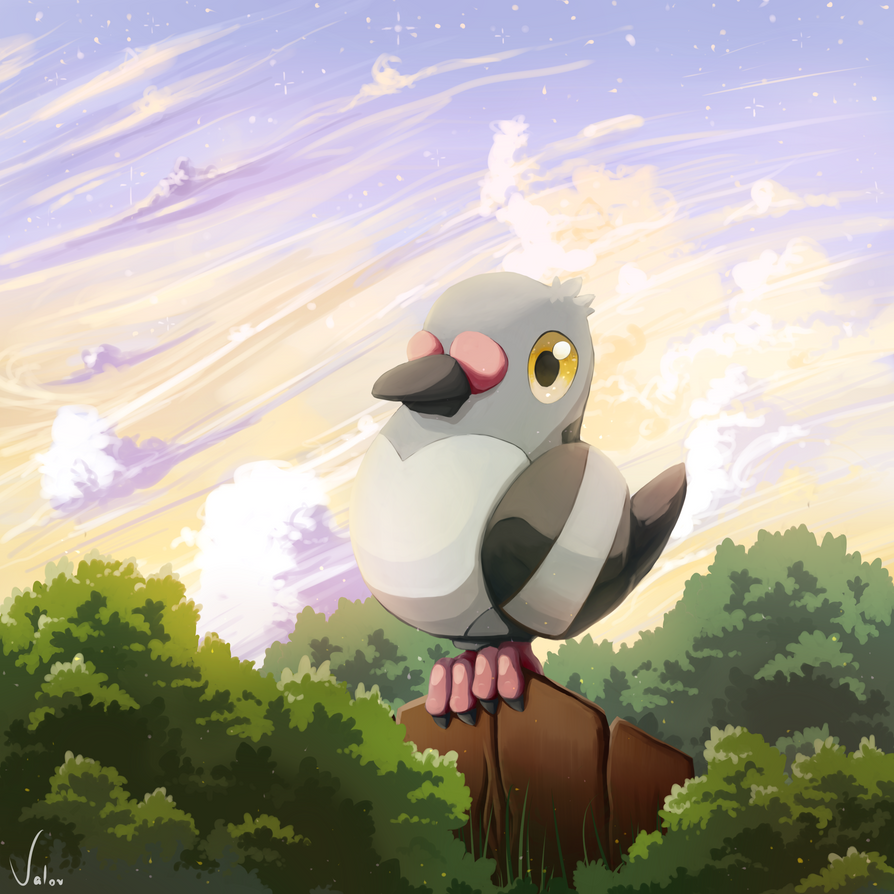 Pokemon Pidove by jkz123pl
