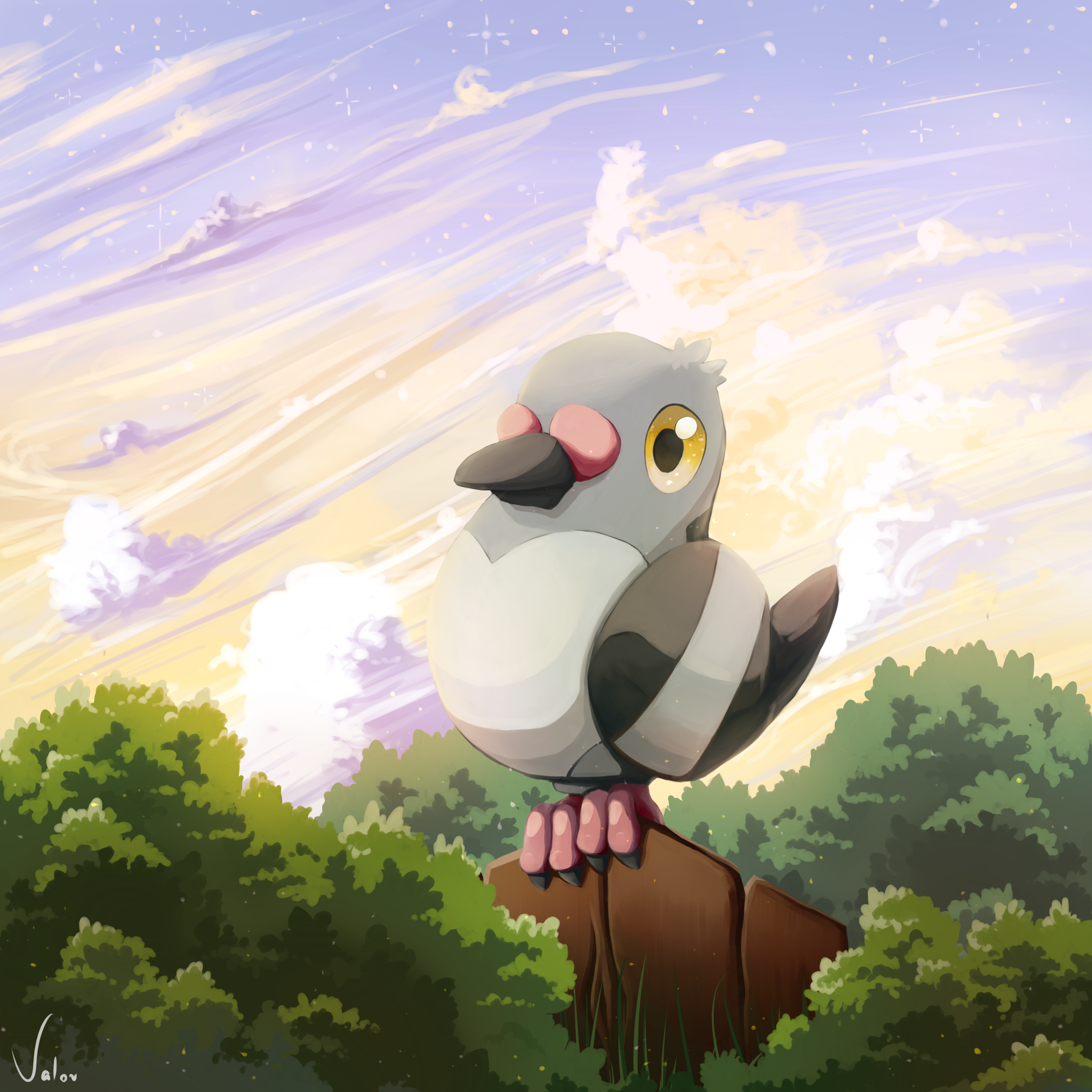 Pokemon Pidove by jkz123pl