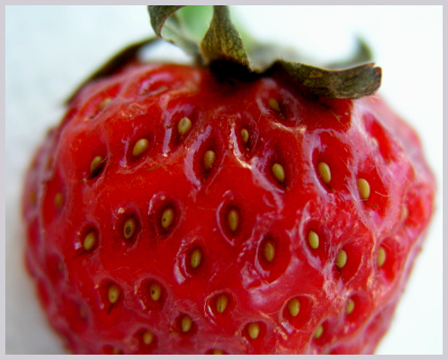 Strawberry Macro