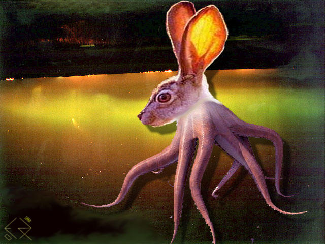 Octorabbit On The Loose by evike71 on DeviantArt