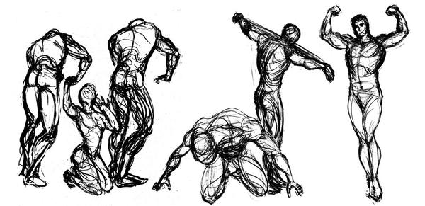 Man Figure Structure Man Figure by Inkaspies on DeviantArt